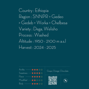 FUGLEN Coffee CHELBESA ESPRESO / ETHIOPIA