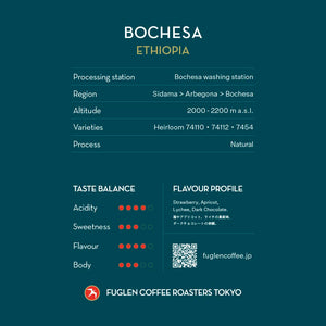FUGLEN Coffee BOCHESA / ETHIOPIA