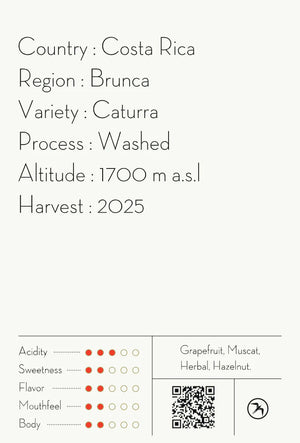 FUGLEN Coffee LOS CRESTONES / COSTA RICA