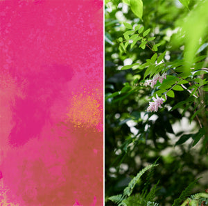 WEEKENDERS COFFEE COLOMBIA Miller Alfonso Dussan Marín