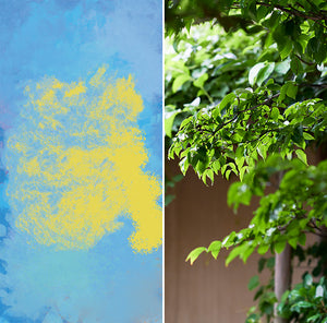 WEEKENDERS COFFEE ETHIOPIA Gogugu