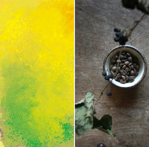 WEEKENDERS COFFEE KENYA Muthuaini AB