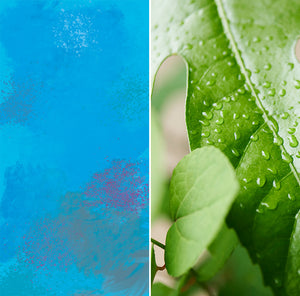 WEEKENDERS COFFEE KENYA Githembe AA